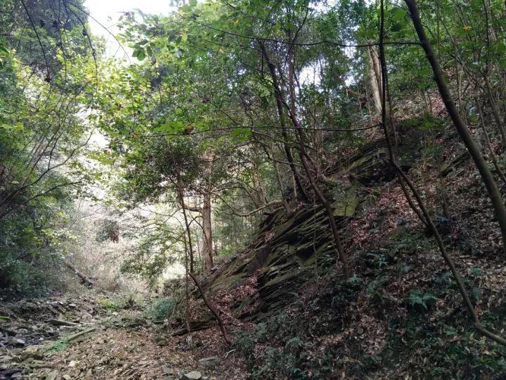 逃离撒丁岛